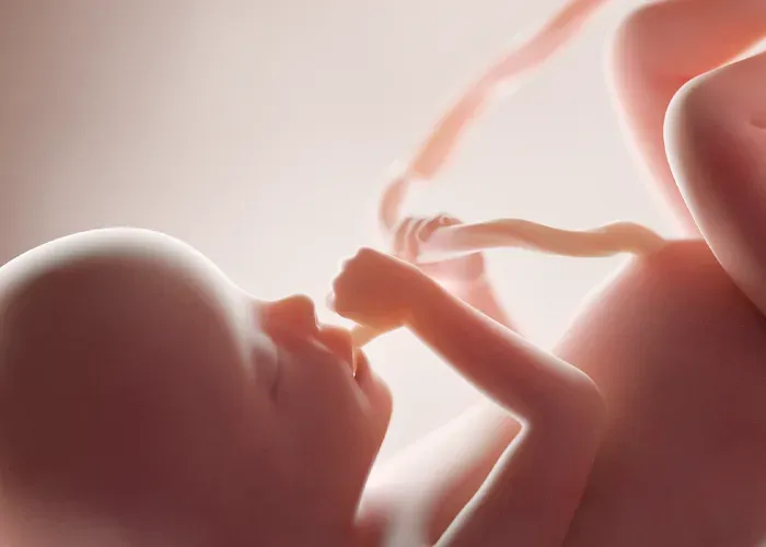 Post-abortion Care – Miscarriage recurrence rate