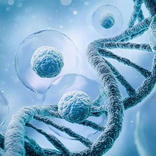 자율신경계 조절을 상징하는 DNA 일러스트