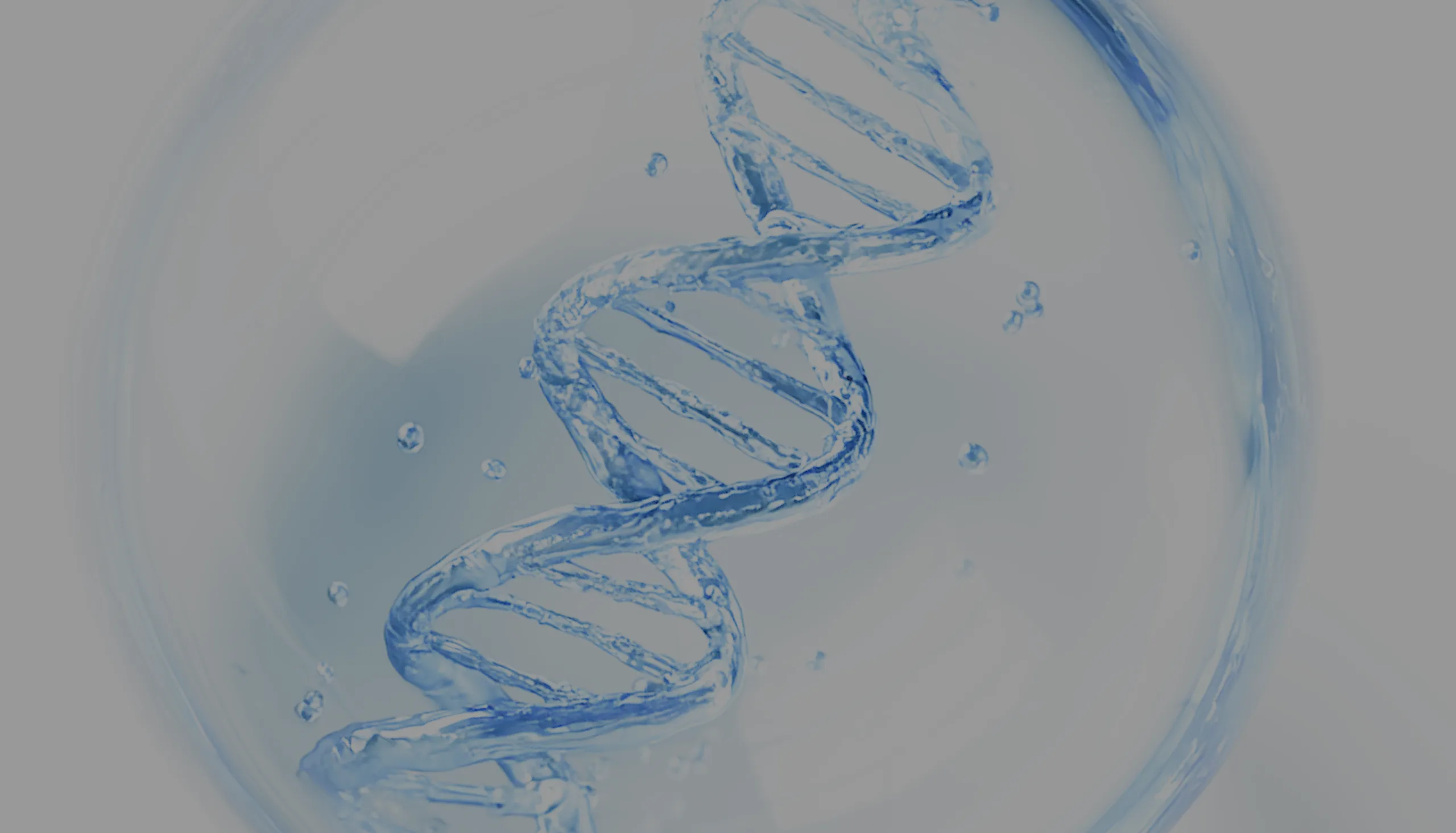 콜라겐 시술 과정